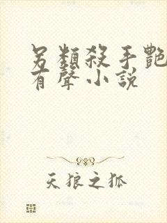 另类杀手艳福星有声小说