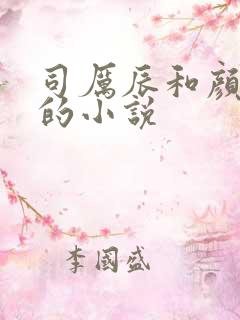 司厉辰和颜辞兮的小说