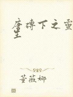 唐砖下之灵域双生