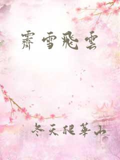 霁雪飞云