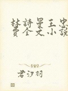 林诗曼王忠文免费全文小说的名称