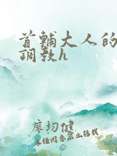 首辅大人的花式调教h