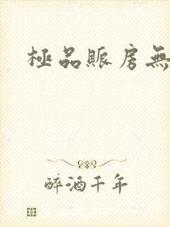 极品账房无弹窗