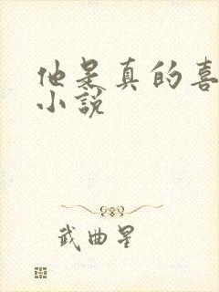 他是真的喜欢你小说