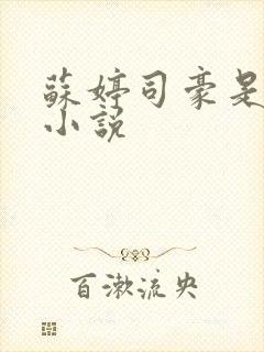 苏婷司豪是什么小说