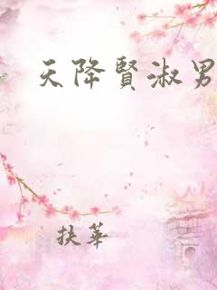 天降贤淑男小说