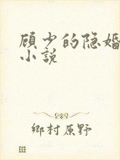 顾少的隐婚罪妻小说