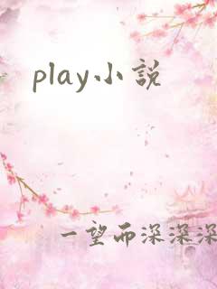 play小说