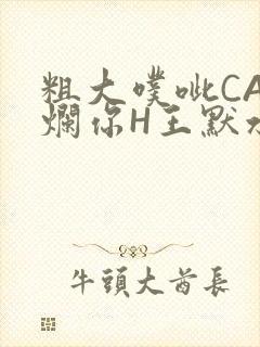 粗大噗呲CAO烂你H王默水王子