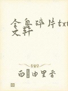 全息碎片txt文轩