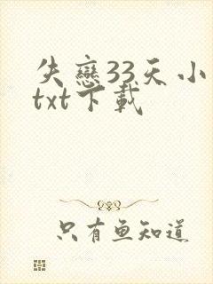 失恋33天小说txt下载
