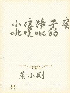 小浪蹄子蜜水噗呲噗呲的