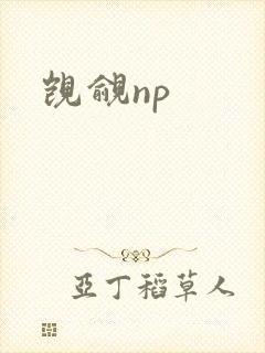 觊觎np