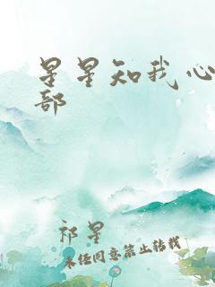 星星知我心第二部
