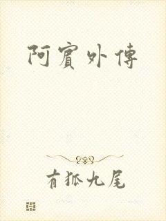 阿宾外传