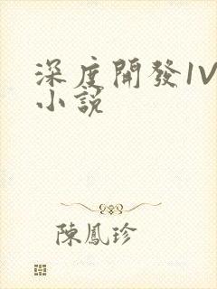 深度开发1V3小说