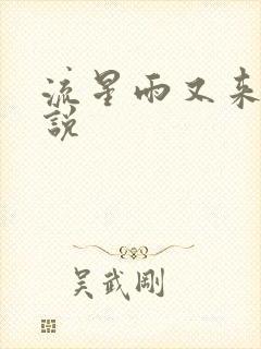 流星雨又来临小说