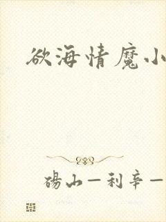 欲海情魔小说