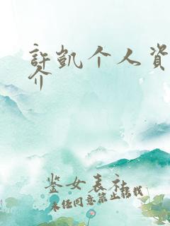 许凯个人资料简介