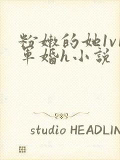 粉嫩的她1v1军婚h小说