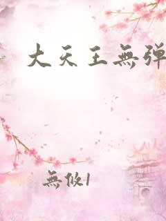 大天王无弹窗