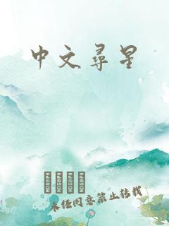 中文寻星
