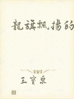 龙旗飘扬的舰队