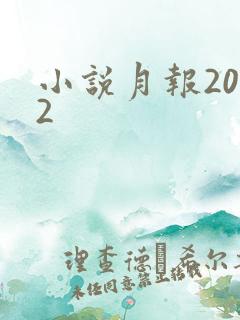 小说月报2012