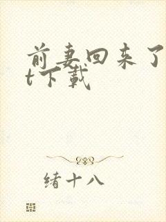 前妻回来了txt下载