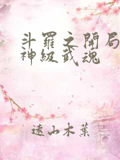 斗罗之开局签到神级武魂