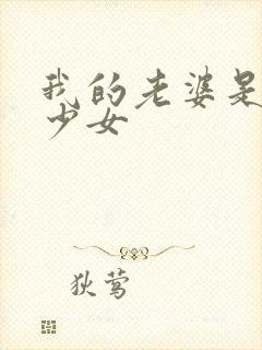 我的老婆是魔法少女