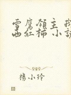 雪鹰领主 我吃西红柿 小说