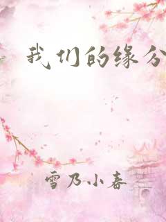 我们的缘分小说