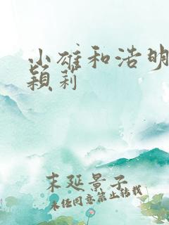 小雄和浩明夹击颖莉