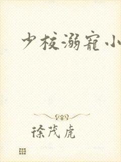 少校溺宠小小妻