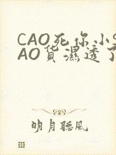 CAO死你小SAO货湿透了学长