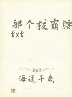 那个校霸腰好软txt