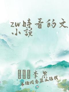 zw时看的文案小说