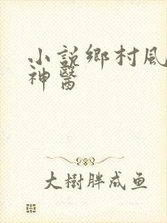 小说乡村风流小神医