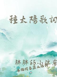 种太阳歌词