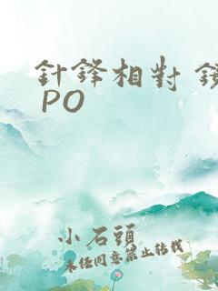 针锋相对 镜子 PO