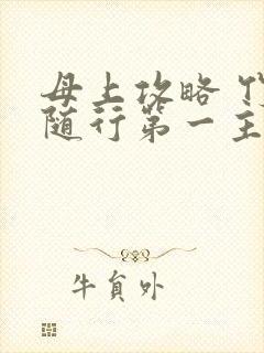 母上攻略 竹影随行第一主板