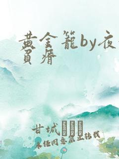 黄金笼by夜很贫瘠