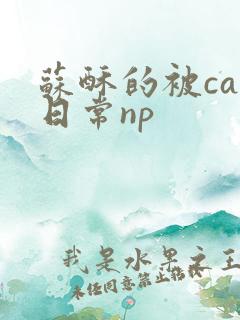 苏酥的被cao日常np