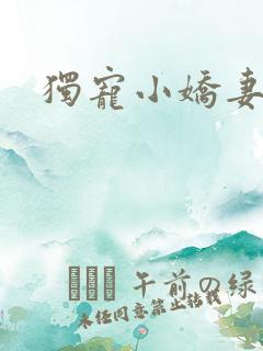 独宠小娇妻