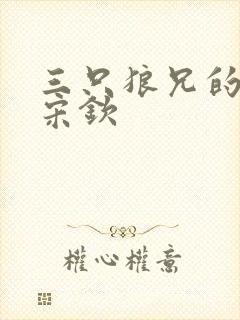 三只狼兄的宠妻宋钦