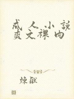 成 人 小 说爽文裸 肉