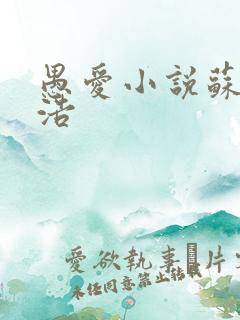 愚爱小说苏倩孙浩