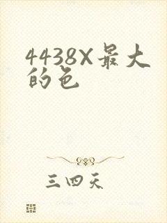 4438X最大的色