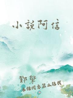 小说阿信